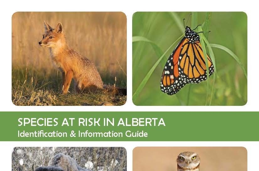 Species at risk in Alberta Identification & information guide Landuse